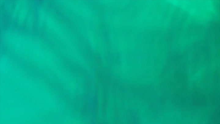 Light Leaks Element 62