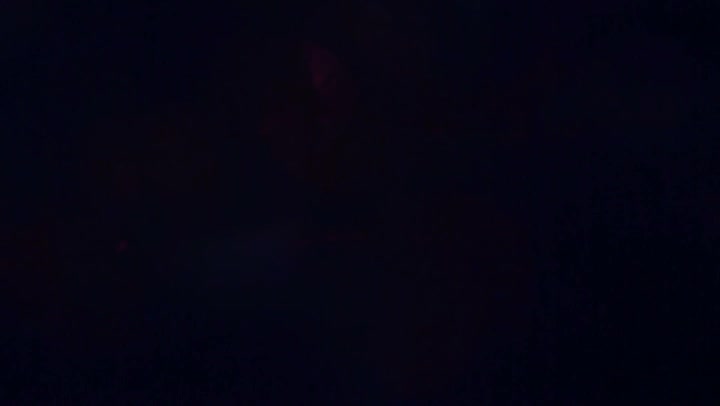 Light Leaks Element 79