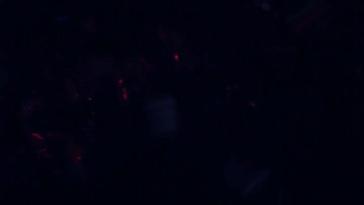 Light Leaks Element 83