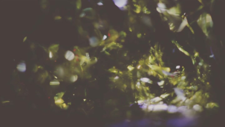 Light Leaks Element 87