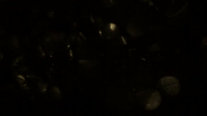 Light Leaks Element 93