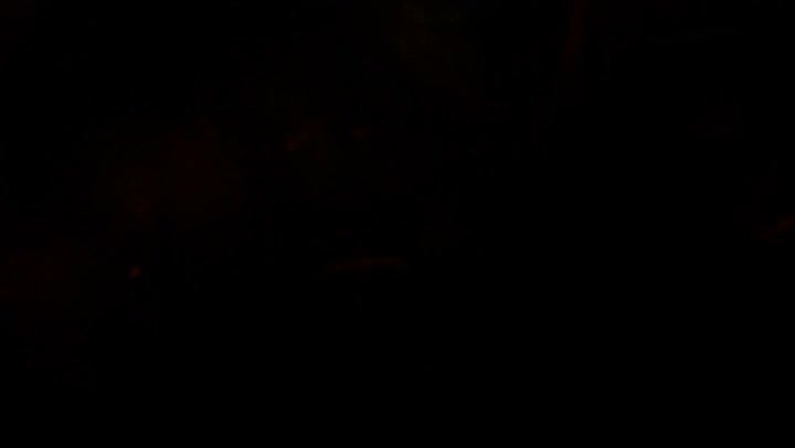 Light Leaks Element 95