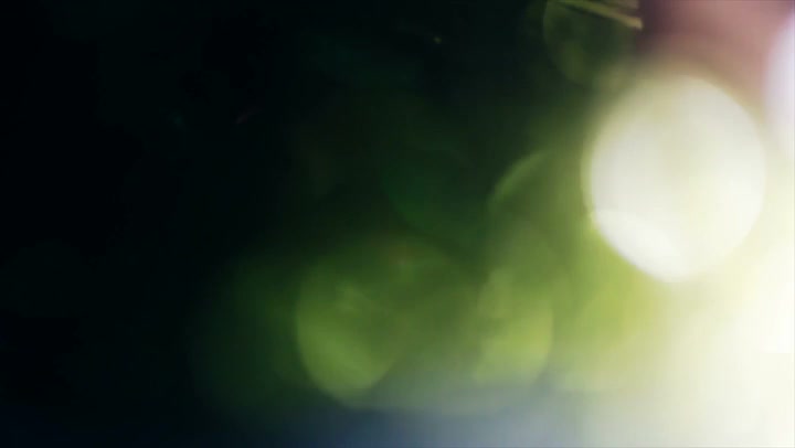 Light Leaks Element 98