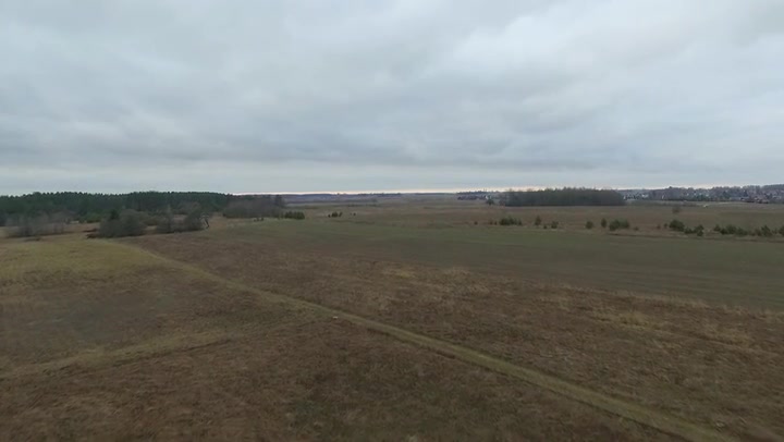 Flight Over Meadow 3