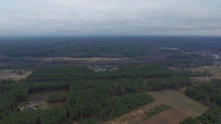 Aerial View Over The Forest 2