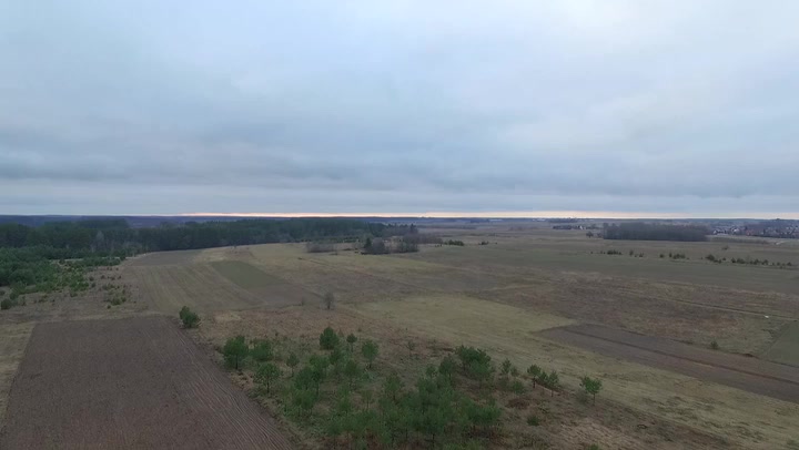 Flight Over Meadow 5