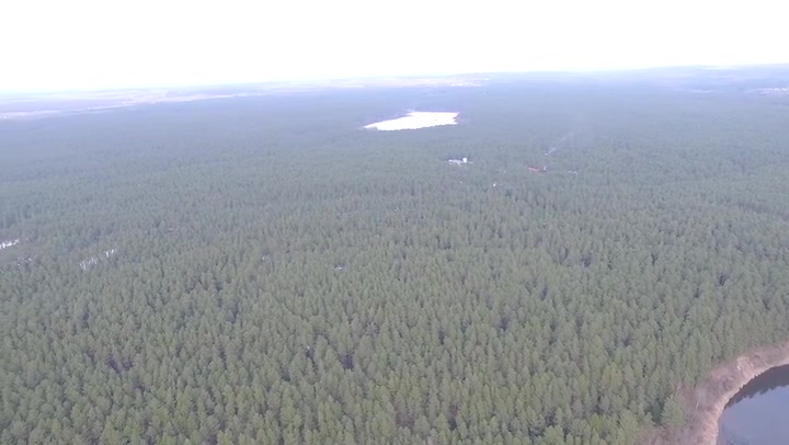 Panorama Over The Forest