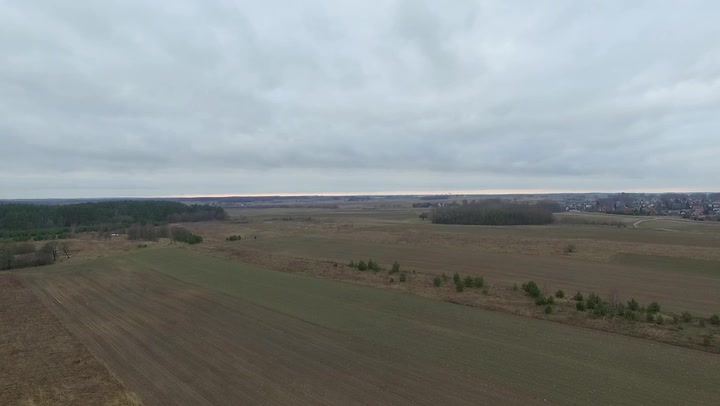 Panorama Over Meadow