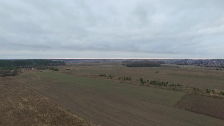 Flight Over Meadow 1