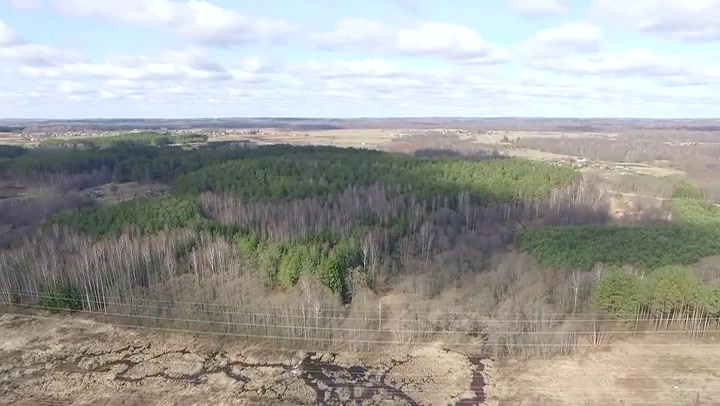 Aerial View Over The Forest 3