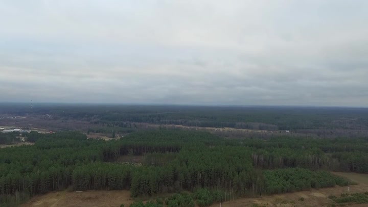 Aerial View Over The Forest 1