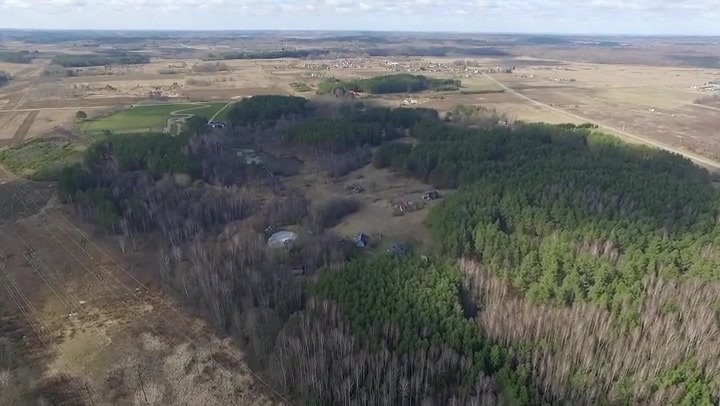 Aerial View Over The Forest 5