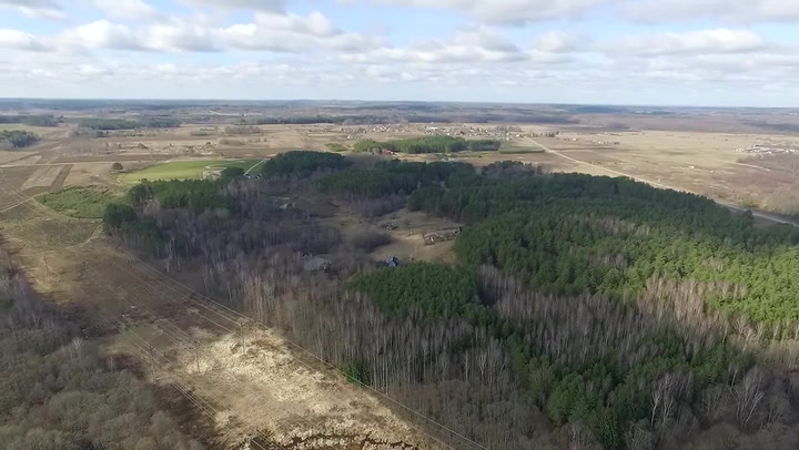 Aerial View Over The Forest 4