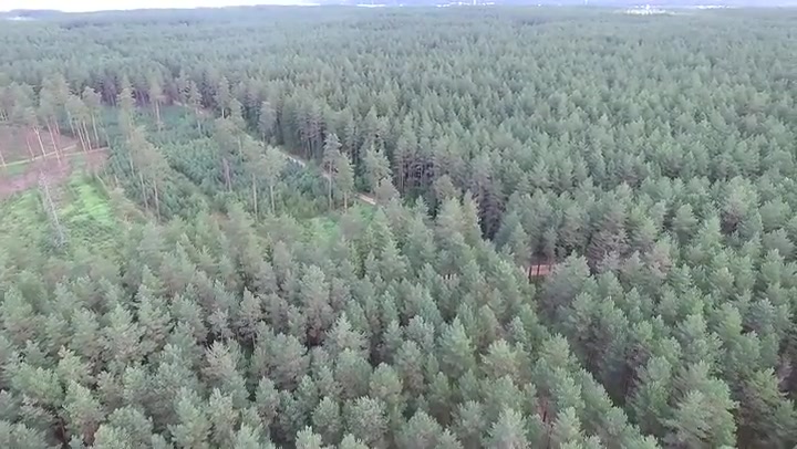 Aerial View Over The Forest 12
