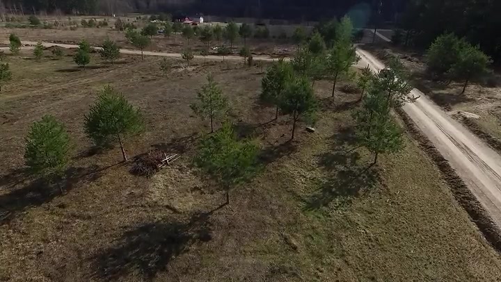 Car Moving On The Country Patch