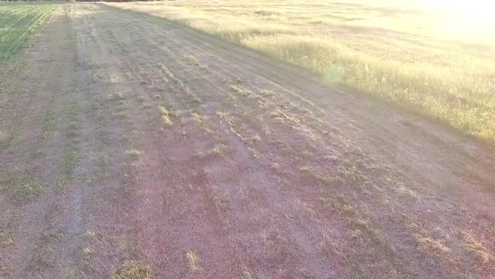 Landing On A Meadow 2