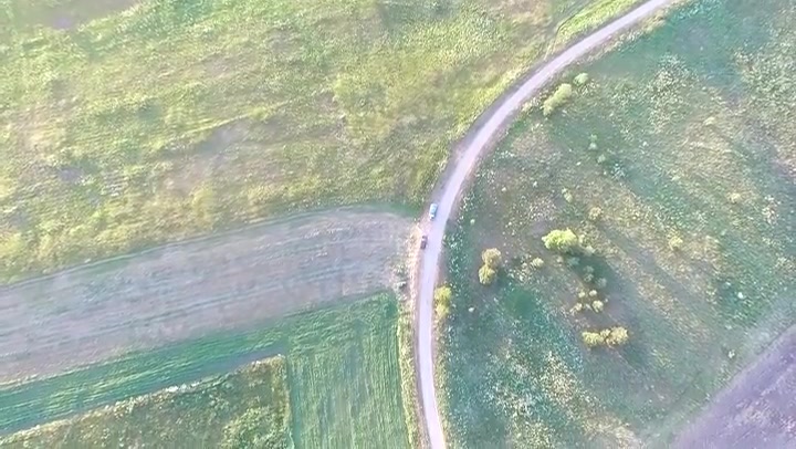 Vertical Flight Over The Meadow 1