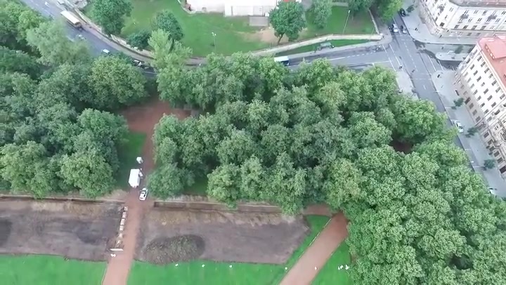 Vertical Flight Over Trees In The City