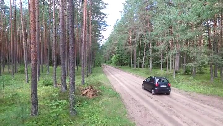 Car Passing By On Gravel Road In Forest 2