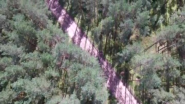Flight Over The Forest And Gravel Road 1