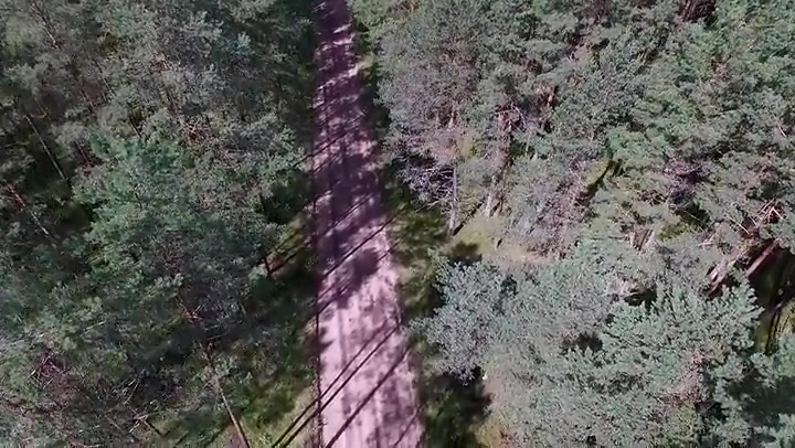 Landing Over The Forest And Gravel Road