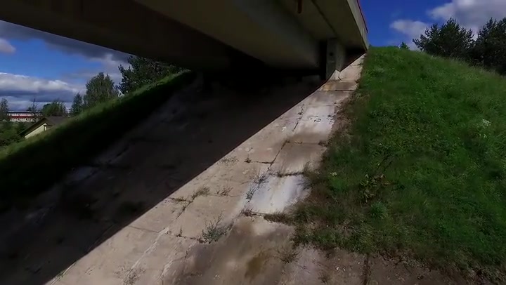 Flight Under The Bridge