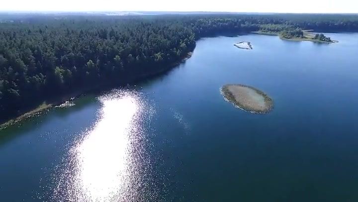 Panorama Over The Lake Near Forest 1