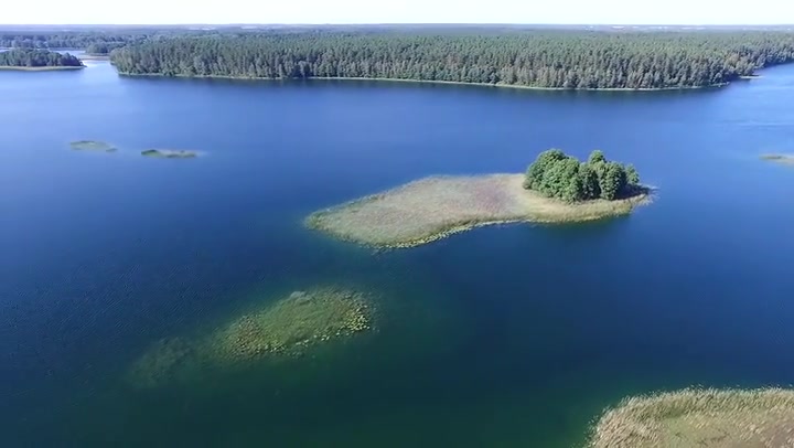 Rising Up Over The Lake Near Forest 2