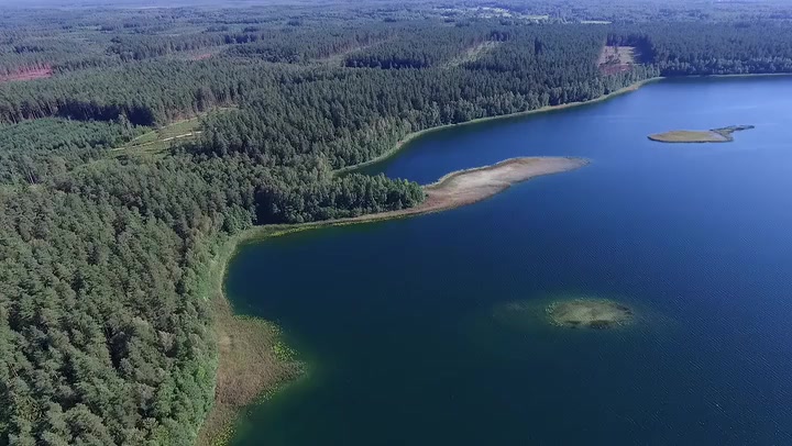 Flight Over The Lake Near Forest 11