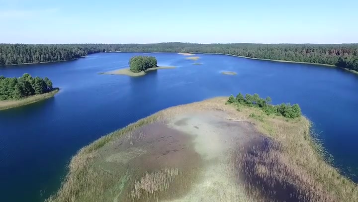 Rising Up Over The Lake Near Forest 1