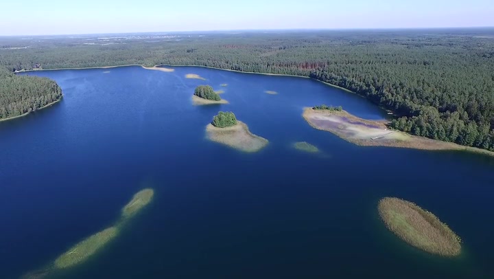 Panorama Over The Lake Near Forest 3