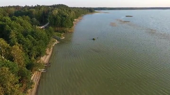 Flight Over The Lake Near Forest 36