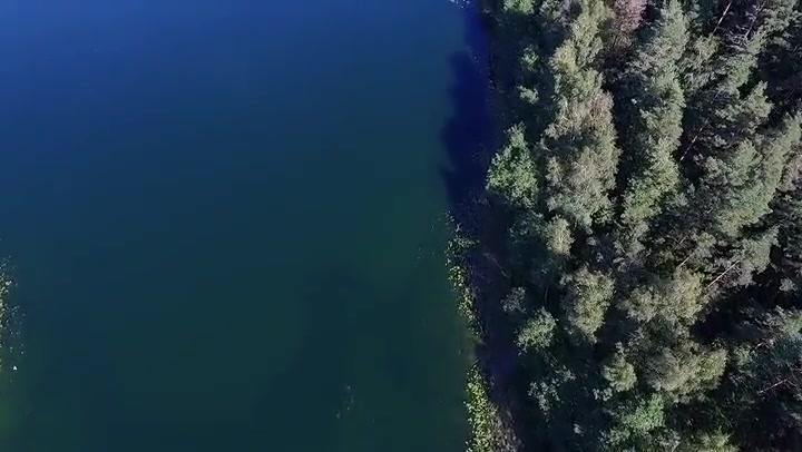 Flight Over The Lake Near Forest 1