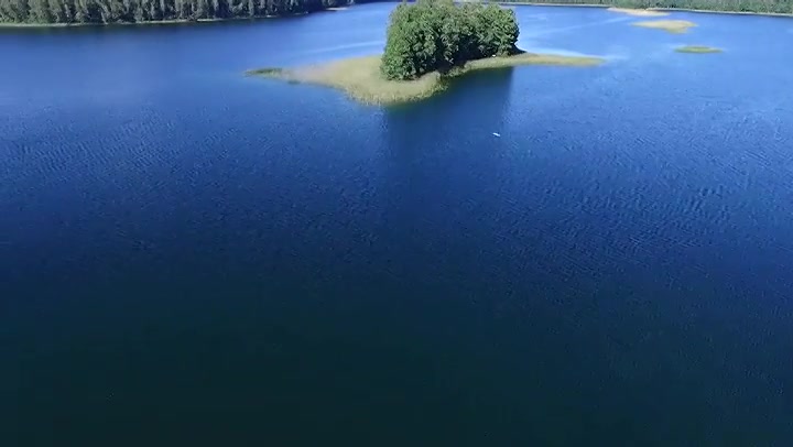 Flight Over The Lake Near Forest 31