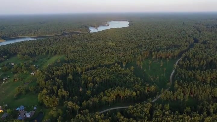 Flight Over The Lake Near Forest 37