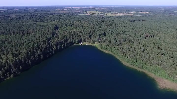 Flight Over The Lake Near Forest 7