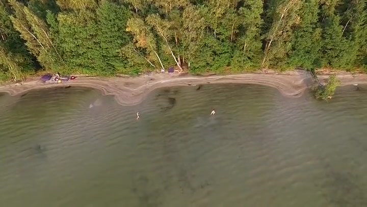 Two People Playing In Lake Near Forest