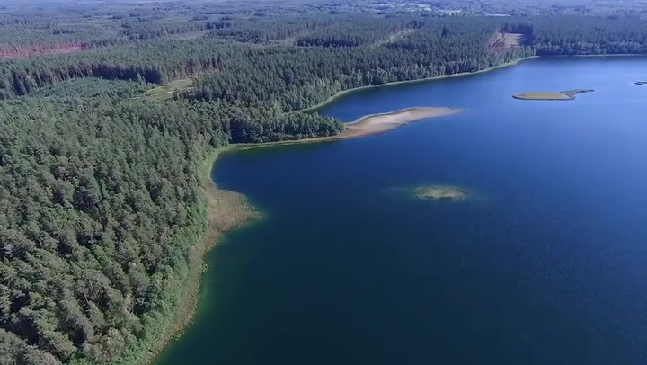 Flight Over The Lake Near Forest 10