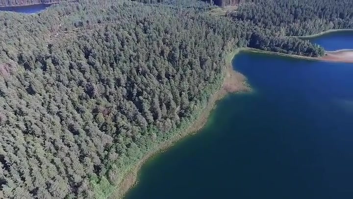 Flight Over The Lake Near Forest 9