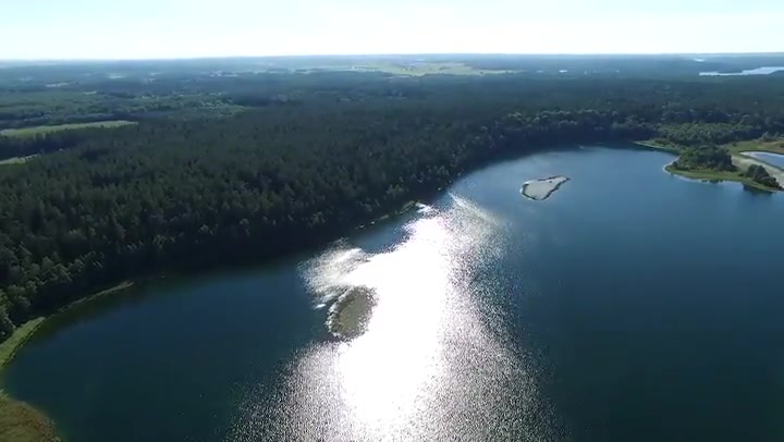 Flight Over The Lake Near Forest 18