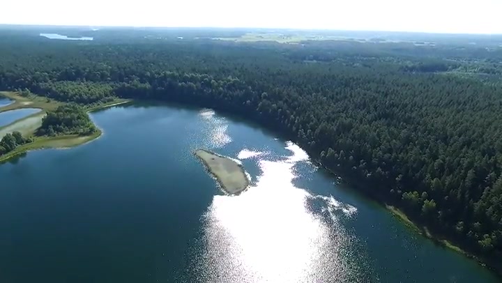 Flight Over The Lake Near Forest 22