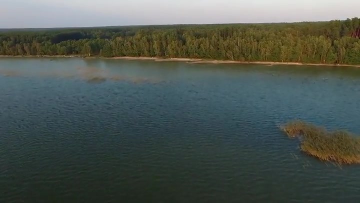 Flight Over The Lake Near Forest 39
