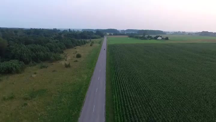 Flying Over The Corn Field Near Road