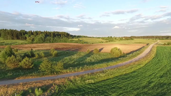 Flying Drone In A Meadow 2