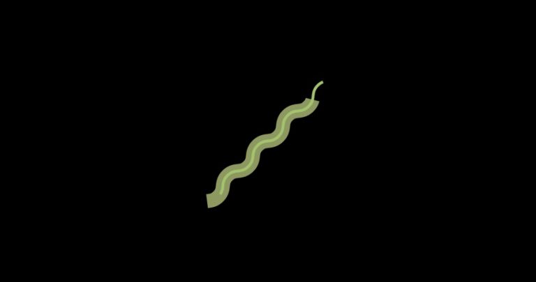 4K Snake Style Flat Transition Element