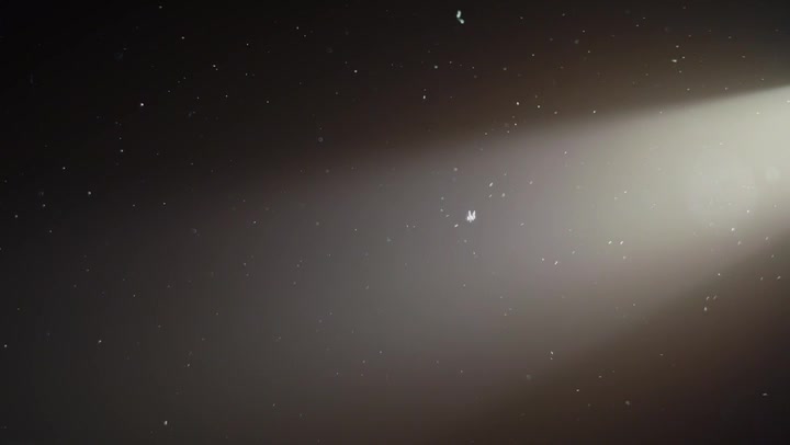Floating Particles Of Dust With Light Beams From Right