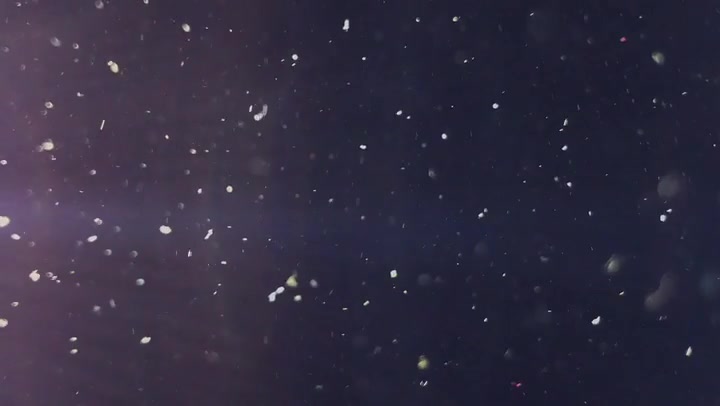Various Granularity Dust Particles Flying