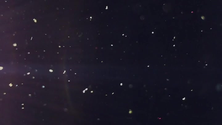 Various Granularity Of Dust Particles Flying On Black Background