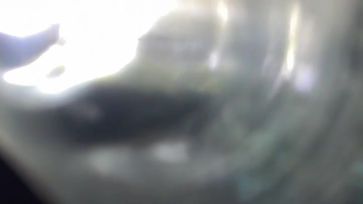 Tidy Light Leaks Transition Overlay 60fps