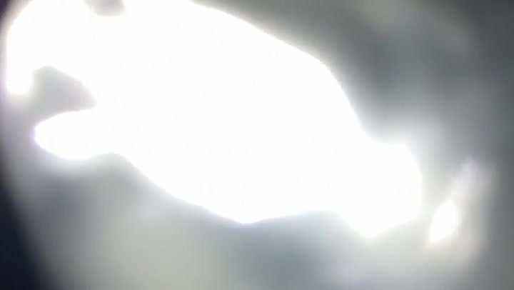 Sun Glass Light Leaks Transition Overlay 60fps